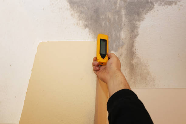 Glassboro, NJ Mold Removal Pros