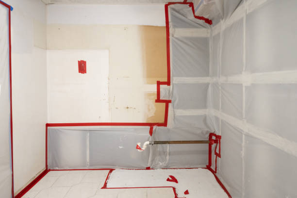 Best Real Estate Mold Inspection  in Glassboro, NJ