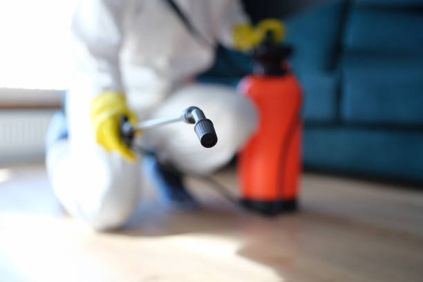 Best Comprehensive Air Testing for Mold Contaminants  in Glassboro, NJ