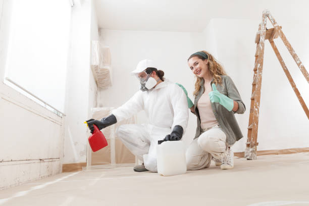 Mold Documentation for Insurance Claims in Glassboro, NJ